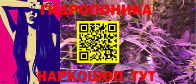 ешки Будённовск